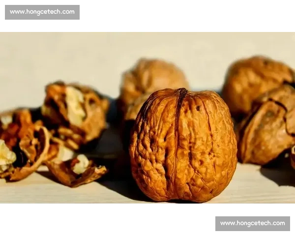 盘点体育比赛规则中那些常被误解的关键细节与陷阱七大典型误区解析 盘点体育比赛规则中那些常被误解的关键细节与陷阱七大典型误区解析